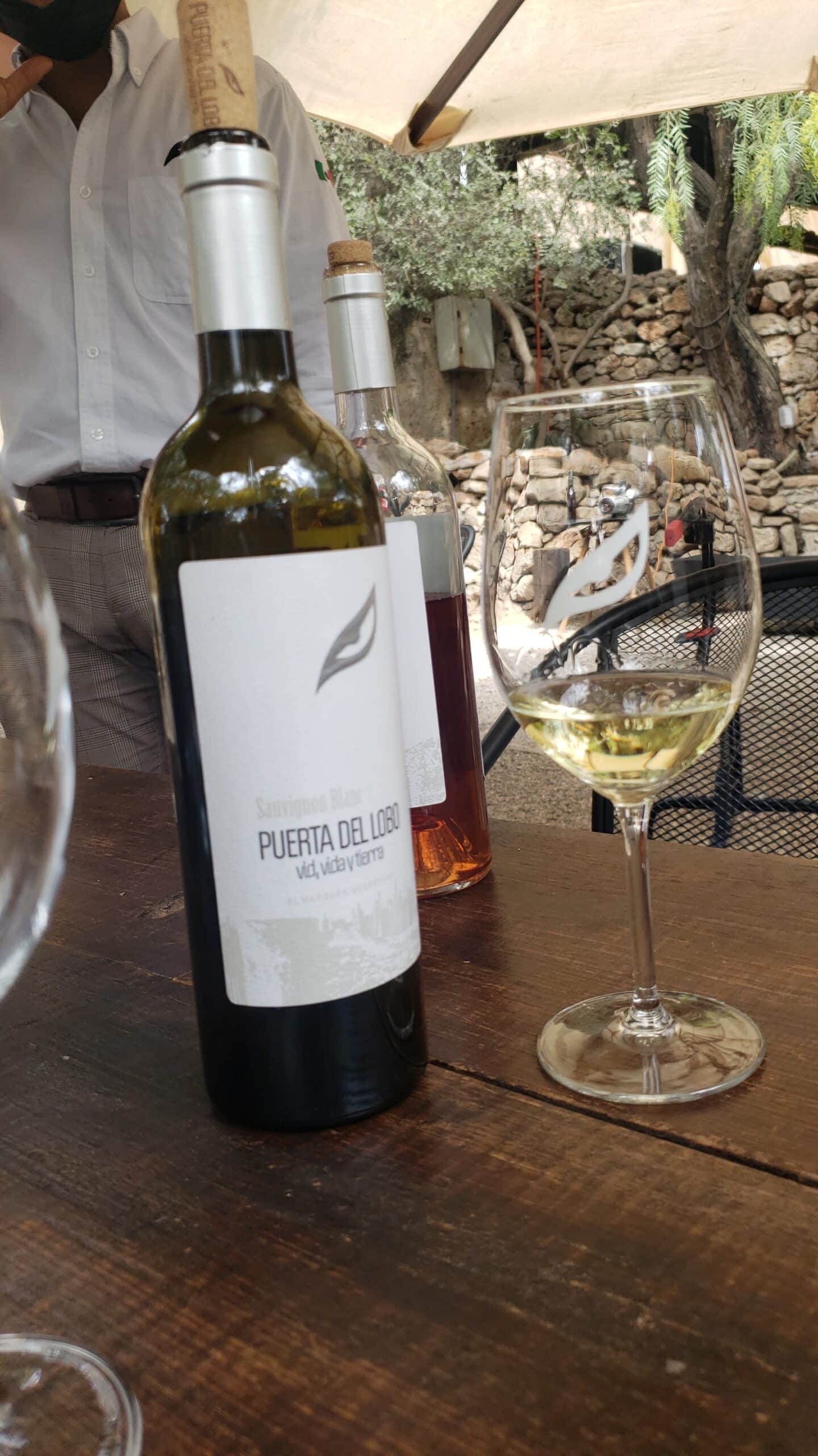 Vino Sauvignon Blanc Seco en Puerta del Lobo. Foto: DescubreMexico