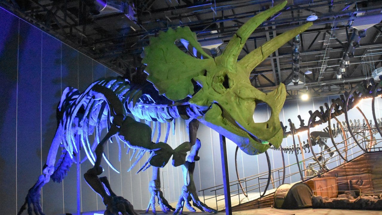 Déjate impresionar con la exposición ‘Tierra de Dinosaurios’ en Tamaulipas