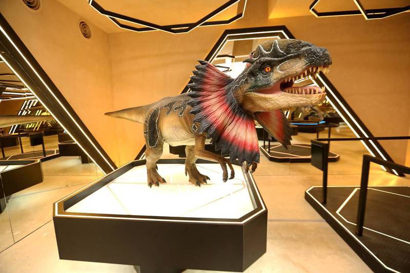 Museo del Meteorito, un espacio dedicado a las grandes extinciones del planeta