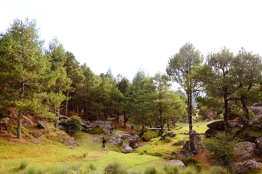 Valle de piedras ensimadas.