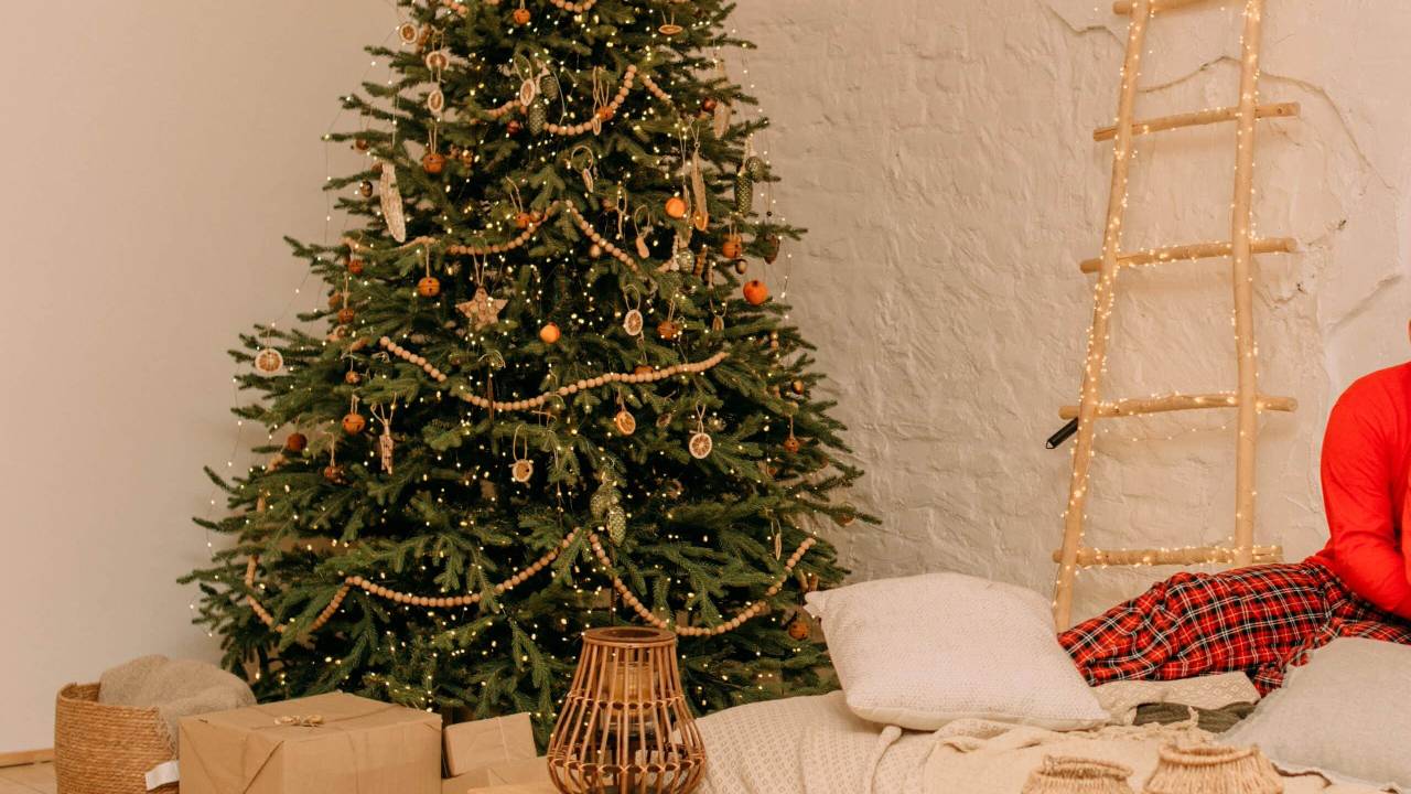 Árbol de Navidad, cuando se pone, y lo que tienes que saber de su historia