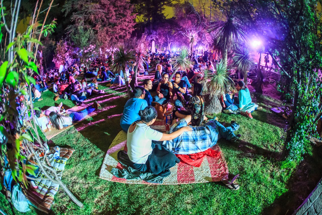 Arranca el año viendo las estrellas en el Picnic Nocturno de Chapultepec