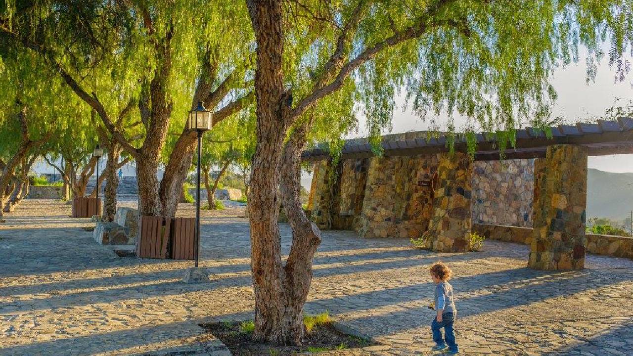 Disfruta la paz del Parque del Profesor en Tecate