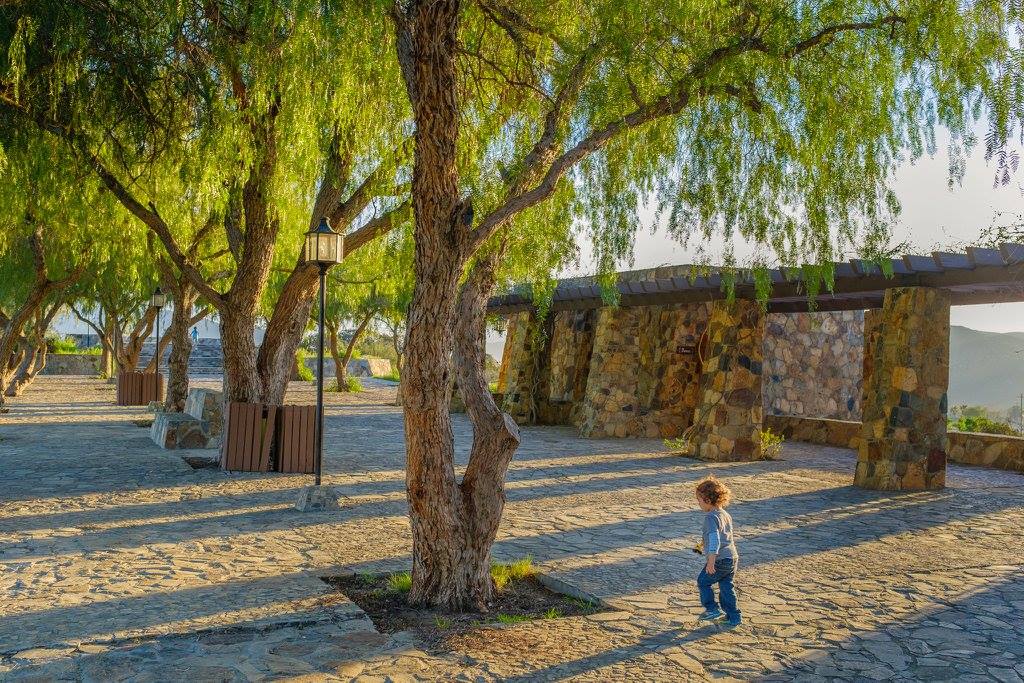 Disfruta la paz del Parque del Profesor en Tecate