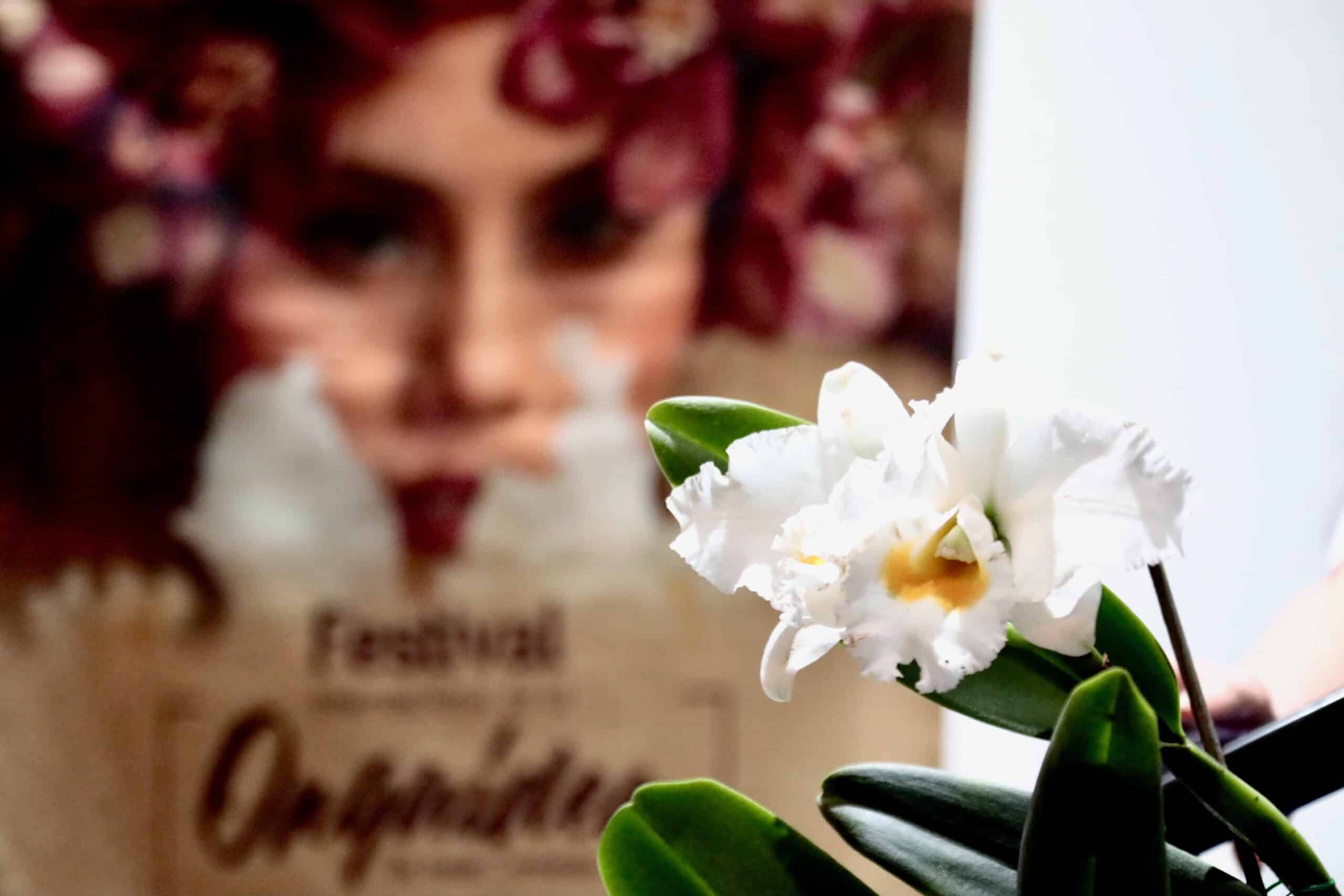 Descubre la belleza floral en el Festival Internacional de la Orquídea