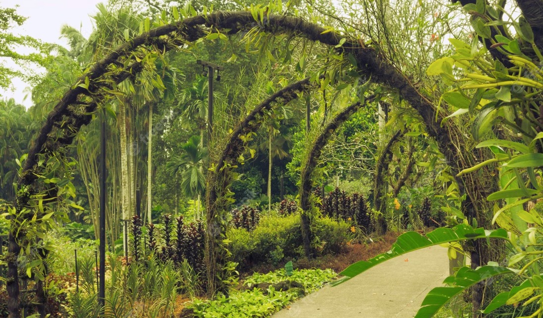 Diez lugares para celebrar el Día de los Jardines Botánicos