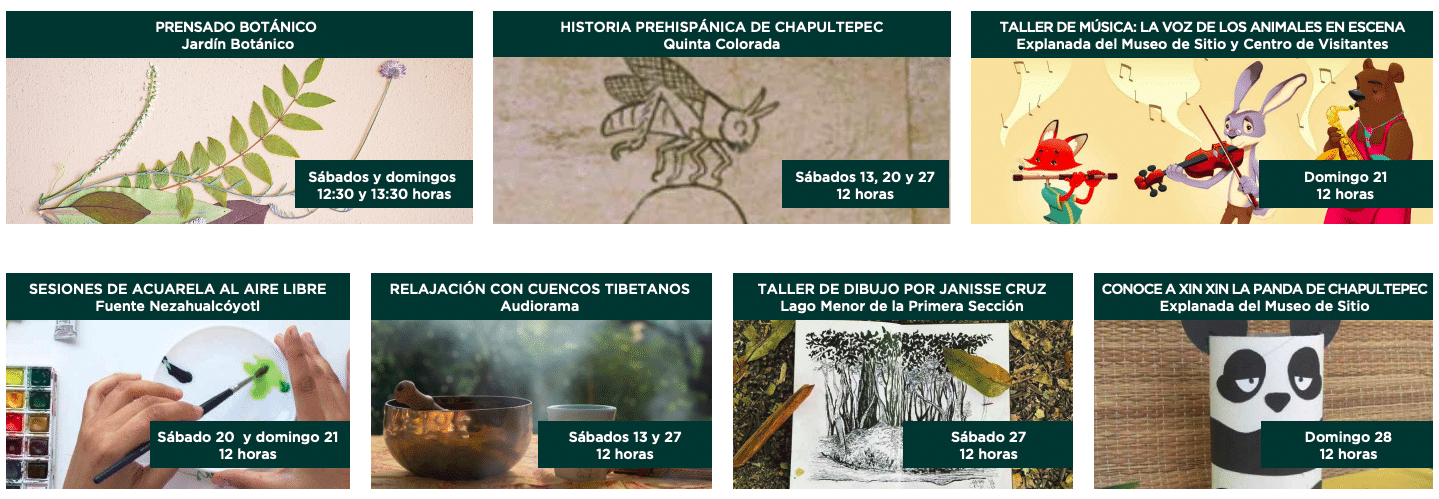 Actividades en el Bosque de Chapultepec