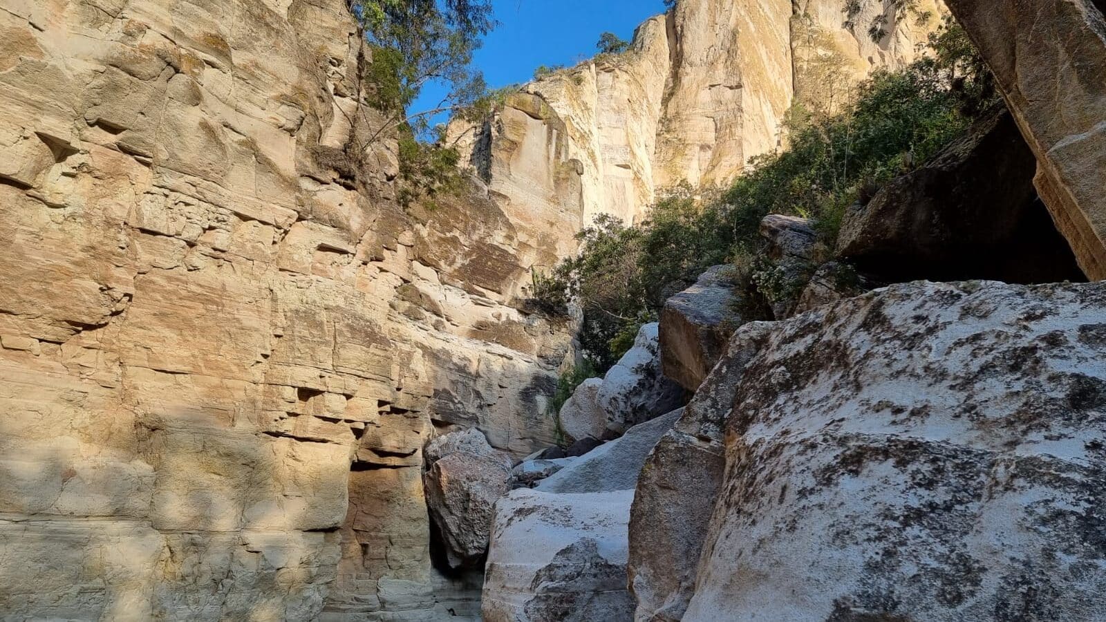 Arroyo del Cura