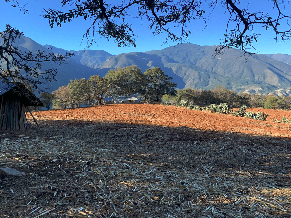 Cerro Viejo en General de Terán