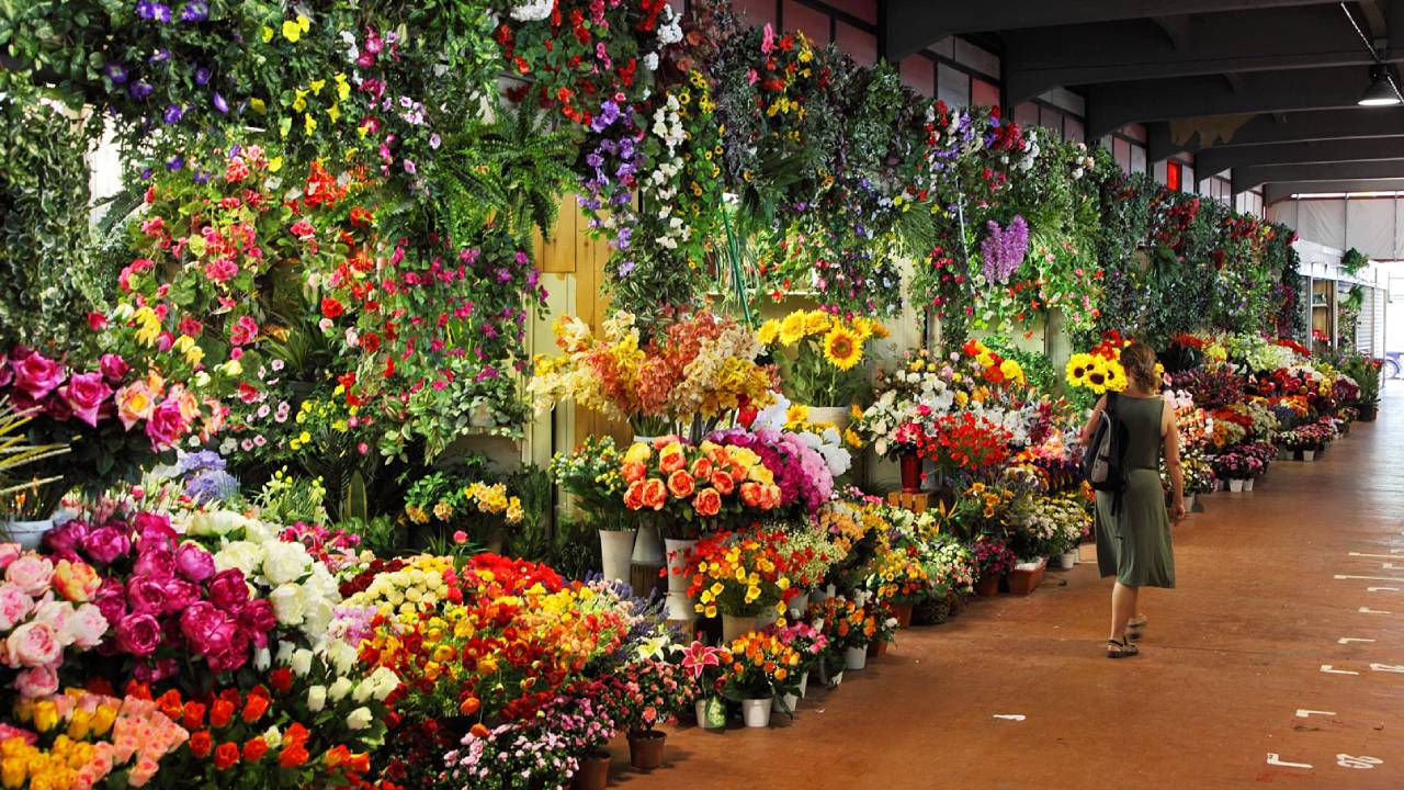 Mercado de Jamaica, oasis de flores y tradición en la CDMX