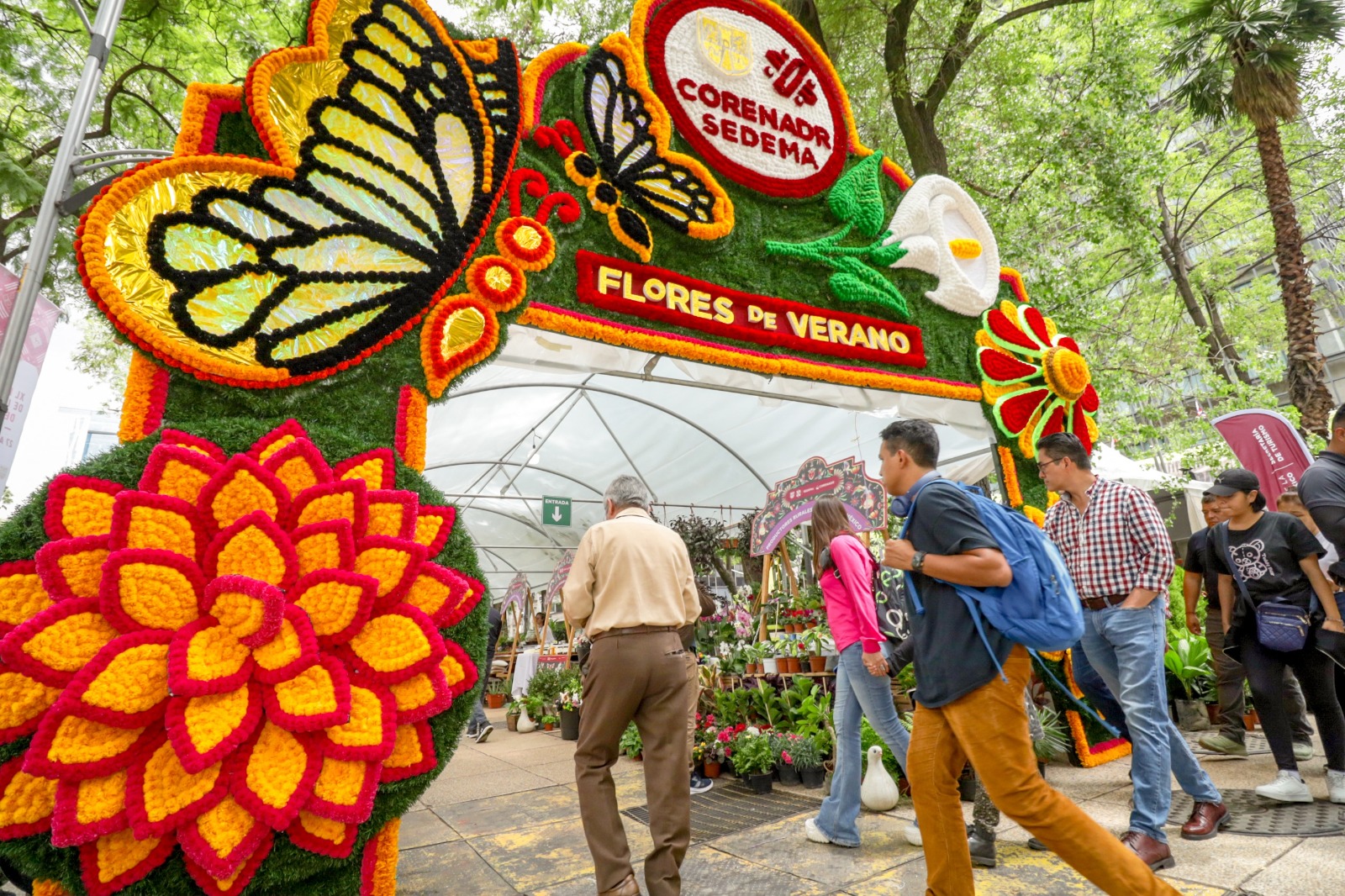 Llena tu casa de color con el Festival de las Flores de Verano