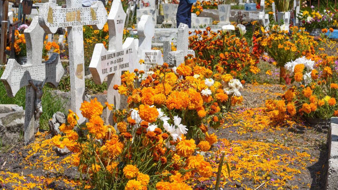 ¿Cuáles serán los horarios en panteones de CDMX por Día de Muertos? Te decimos