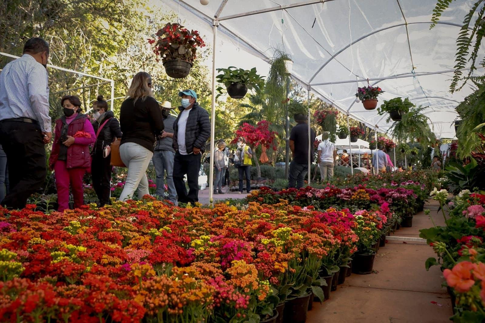 San Miguel de Allende se llenará de color con la Feria de la Candelaria