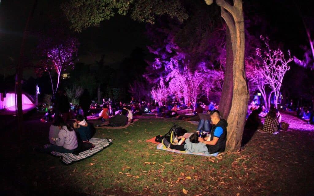 Picnic Nocturno en el Bosque de Chapultepec