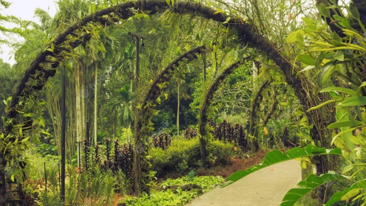 Diez lugares para celebrar el Día de los Jardines Botánicos