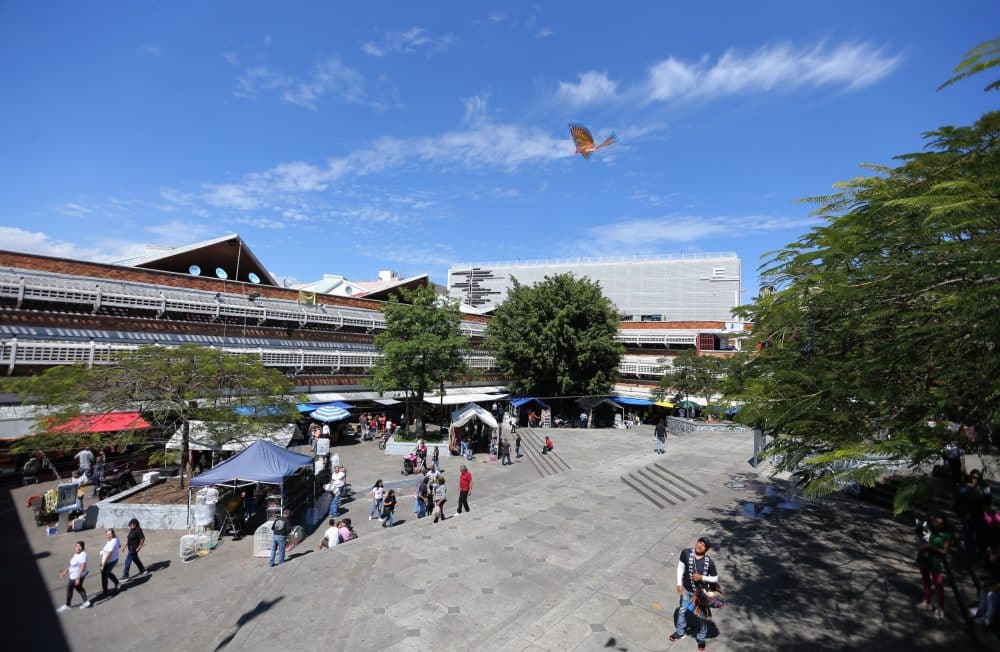 Mercado San Juan de Dios: tradición en el corazón de Guadalajara