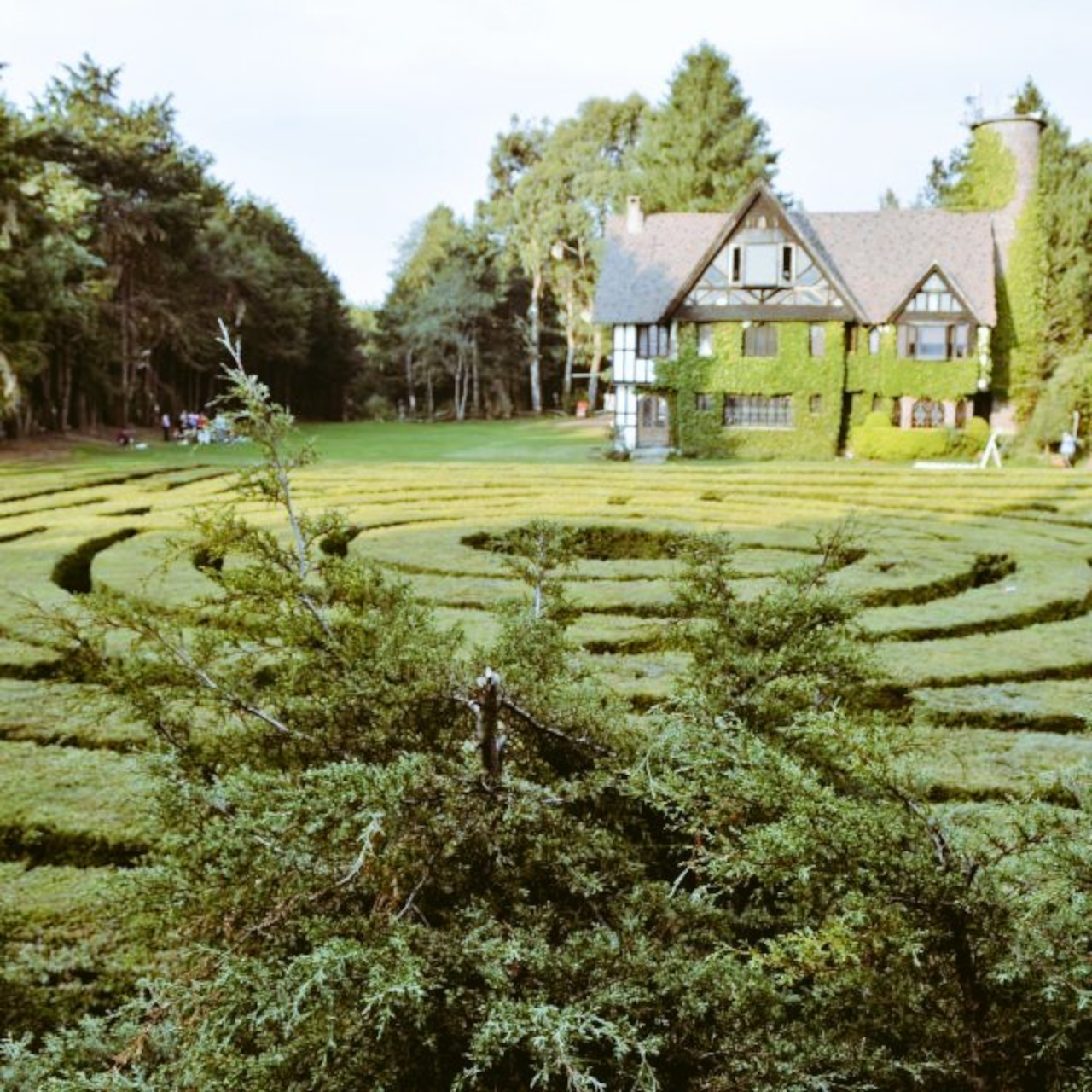 Laberinto del Ajusco, imperdible de ensueño en la CDMX