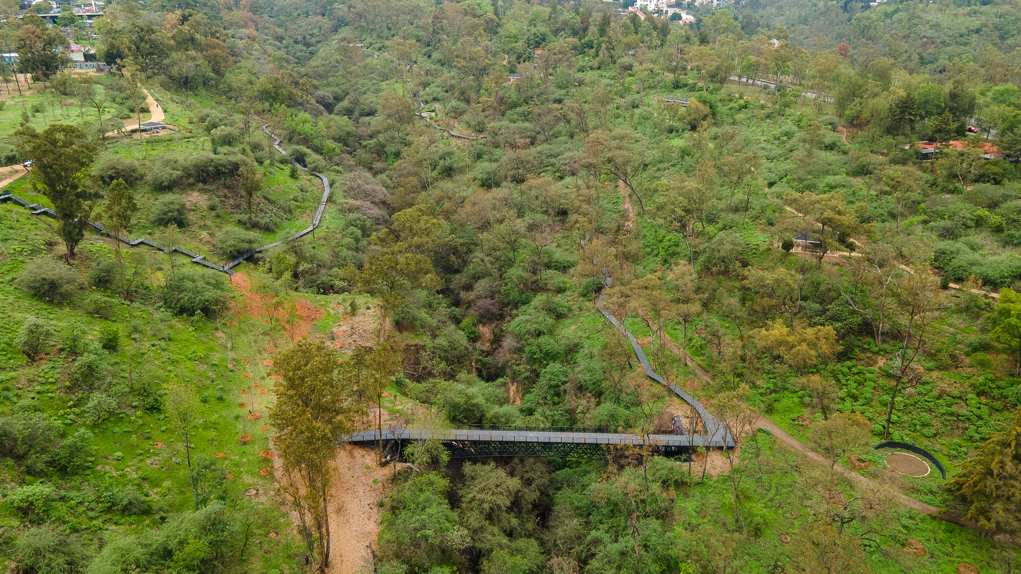 Bosque de Chapultepec tiene nuevas reglas, te decimos cuáles son