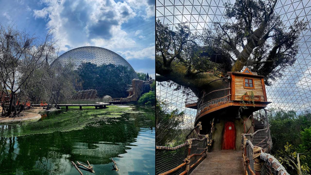 Arboterra, un lugar mágico en Puebla