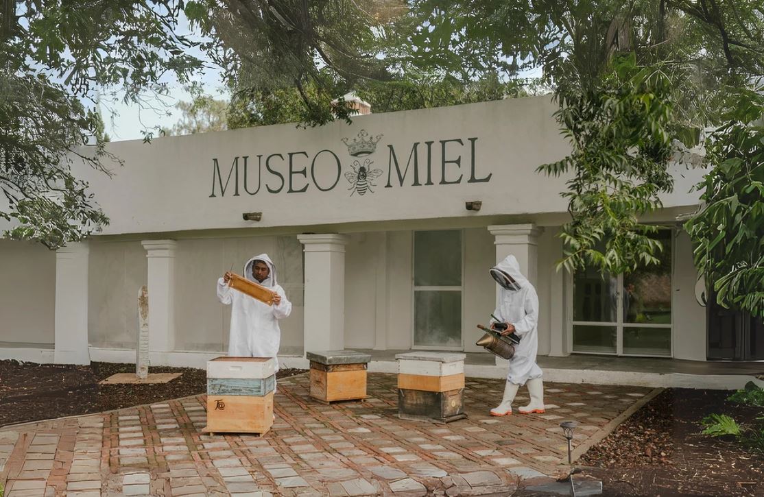 Museo de la Miel, un dulce recinto en San Miguel de Allende
