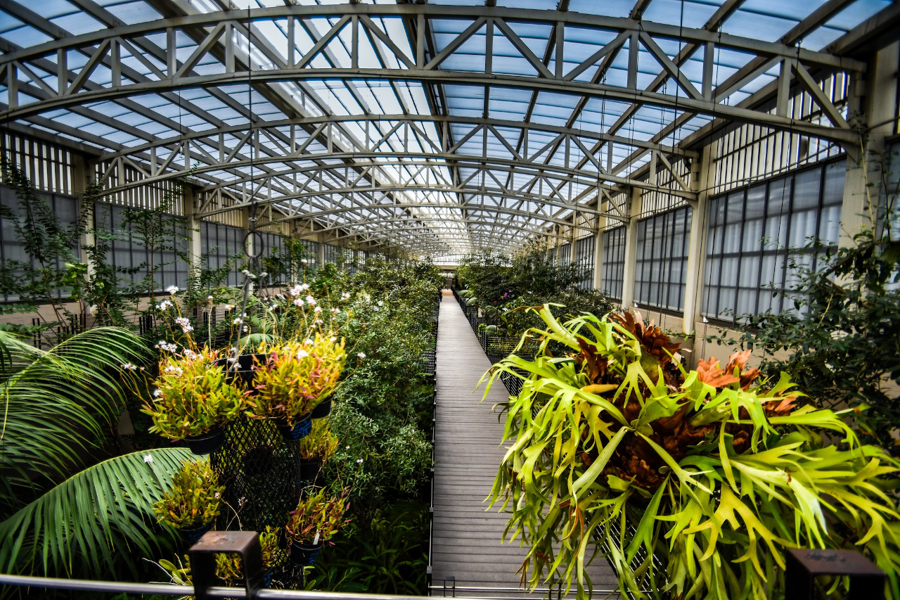 Orquideario del Parque Bicentenario, un lugar de encanto en la CDMX