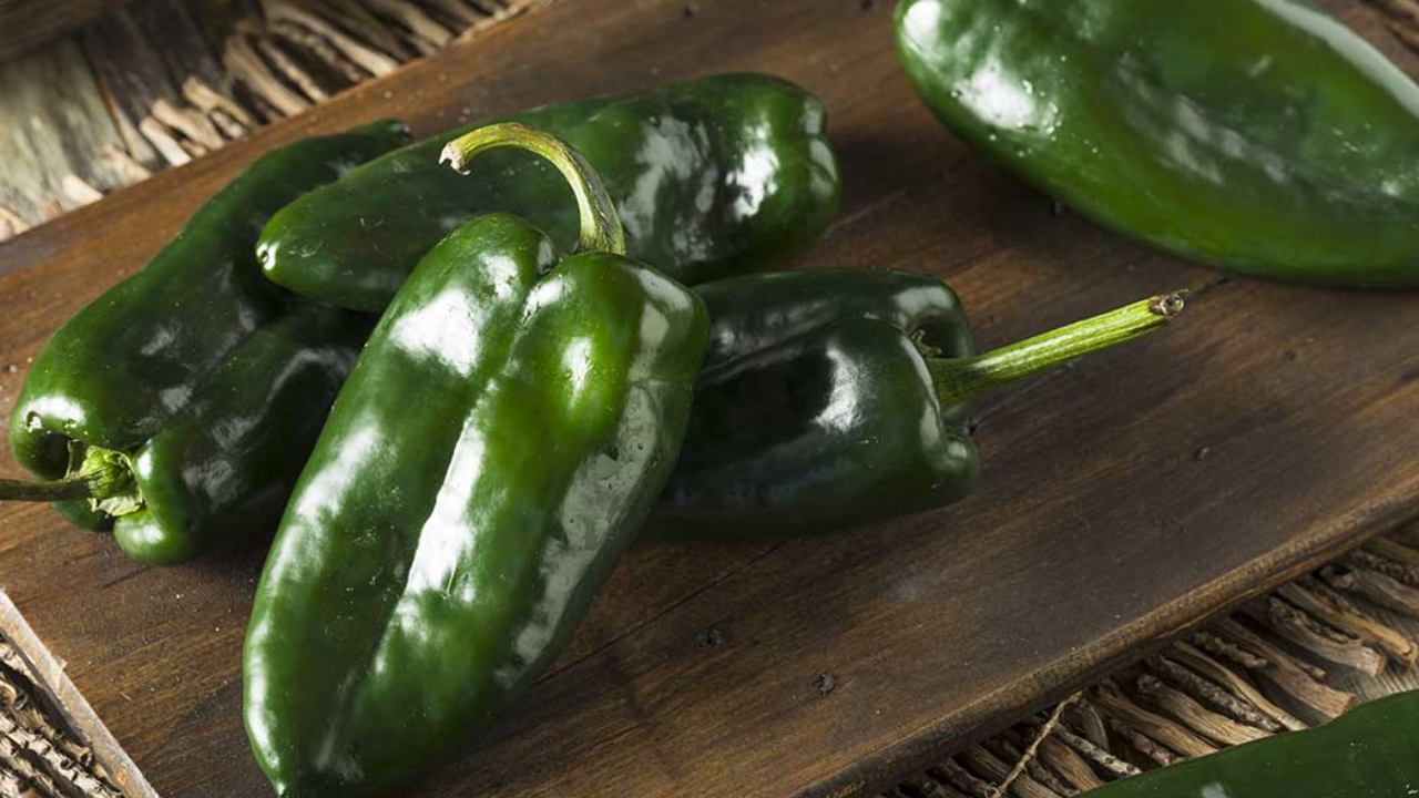 ¿Cómo distinguir un chile poblano mexicano de uno chino o ‘pirata’?