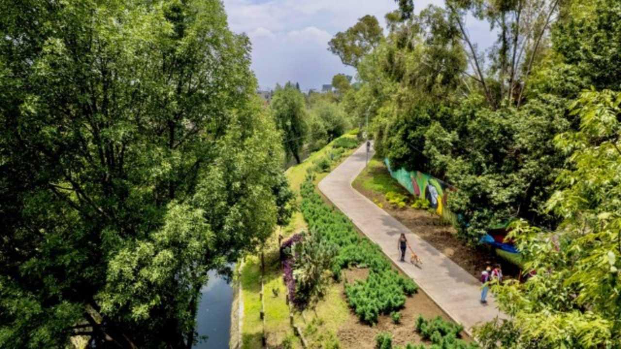 BioFest CDMX: Esto tienes que saber sobre este festival por la naturaleza