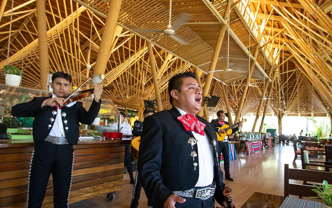 ¡Vive una noche muy patria en Jardines de México!