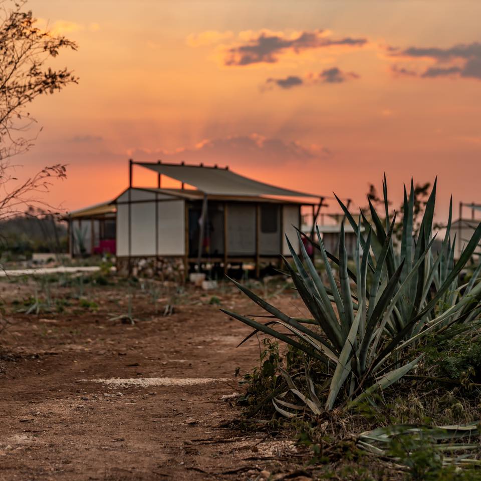 Descubre México