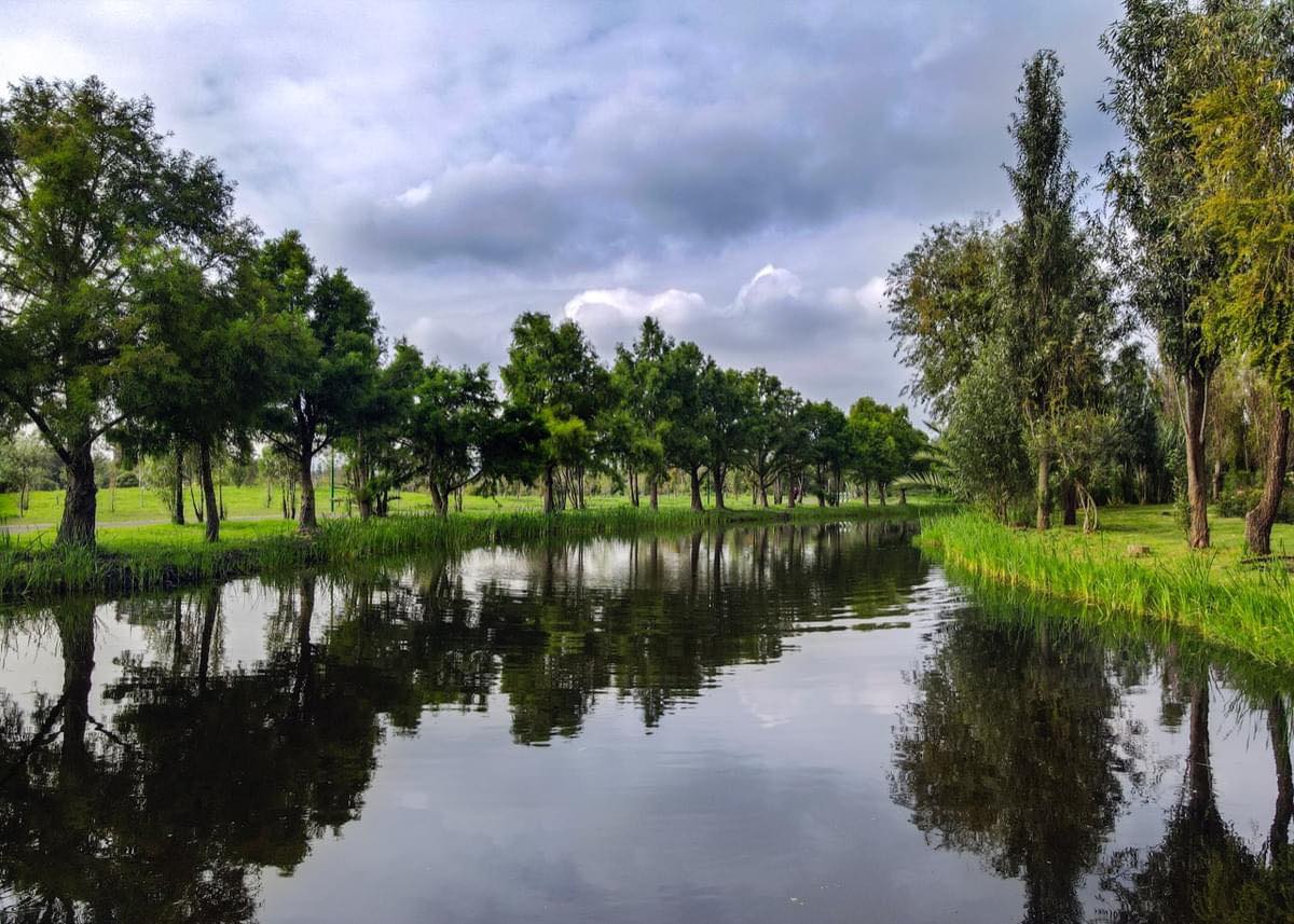 Conoce la Galería Abierta en el Parque Ecológico de Xochimilco