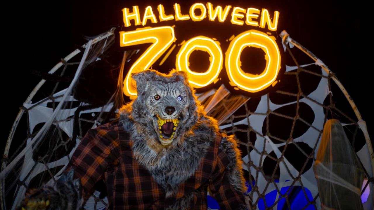 Halloweenzoo: Una aventura de Halloween en el zoológico de León