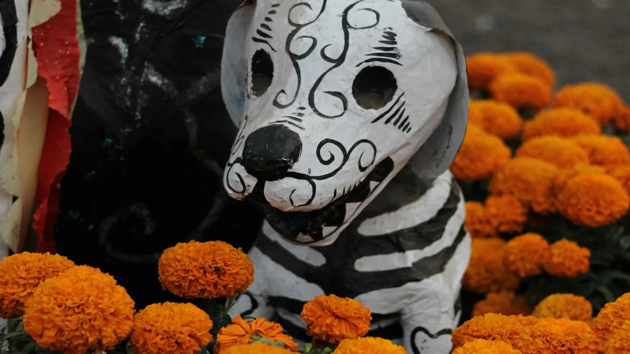 Ofrenda para mascotas: ¿qué día es y qué le puedes poner?