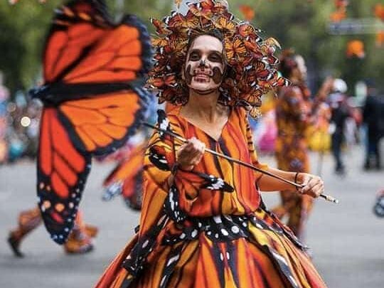 Mariposa Monarca en el Día de Muertos.