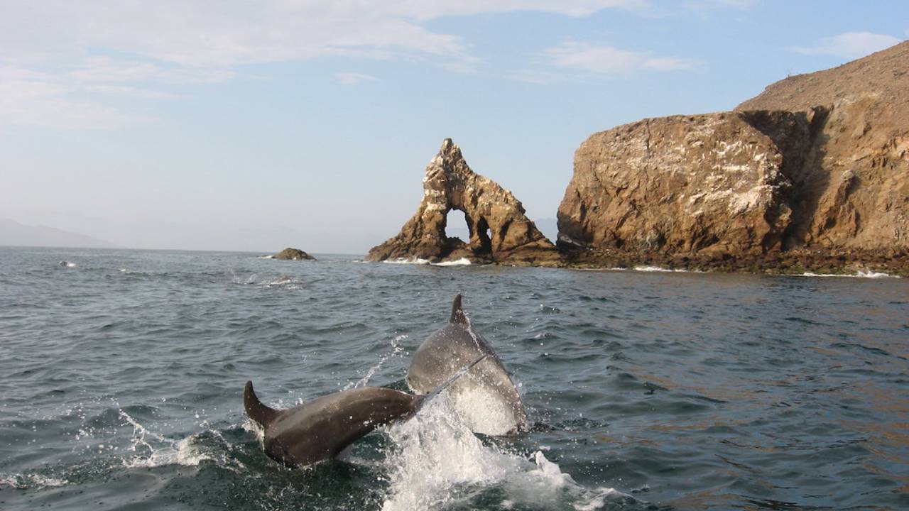 Conoce la Bahía de Los Ángeles, un refugio natural bajacaliforniano