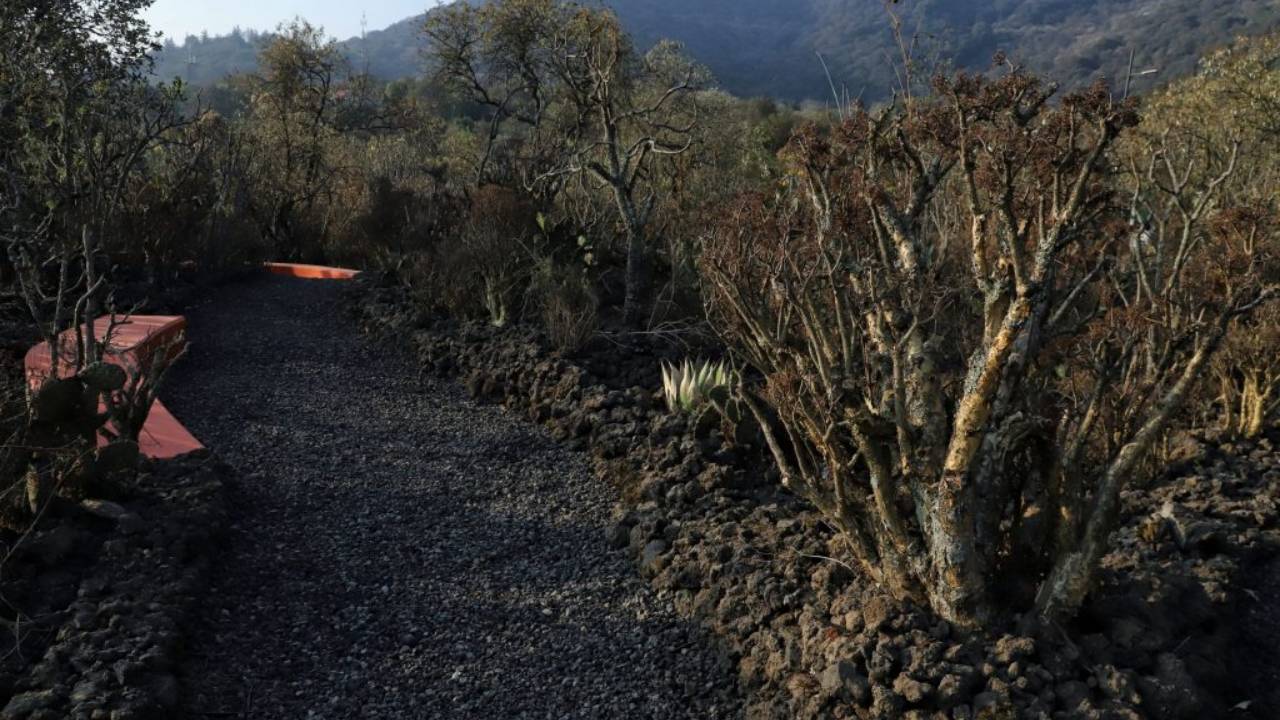 Parque Ecológico Ciudad de México