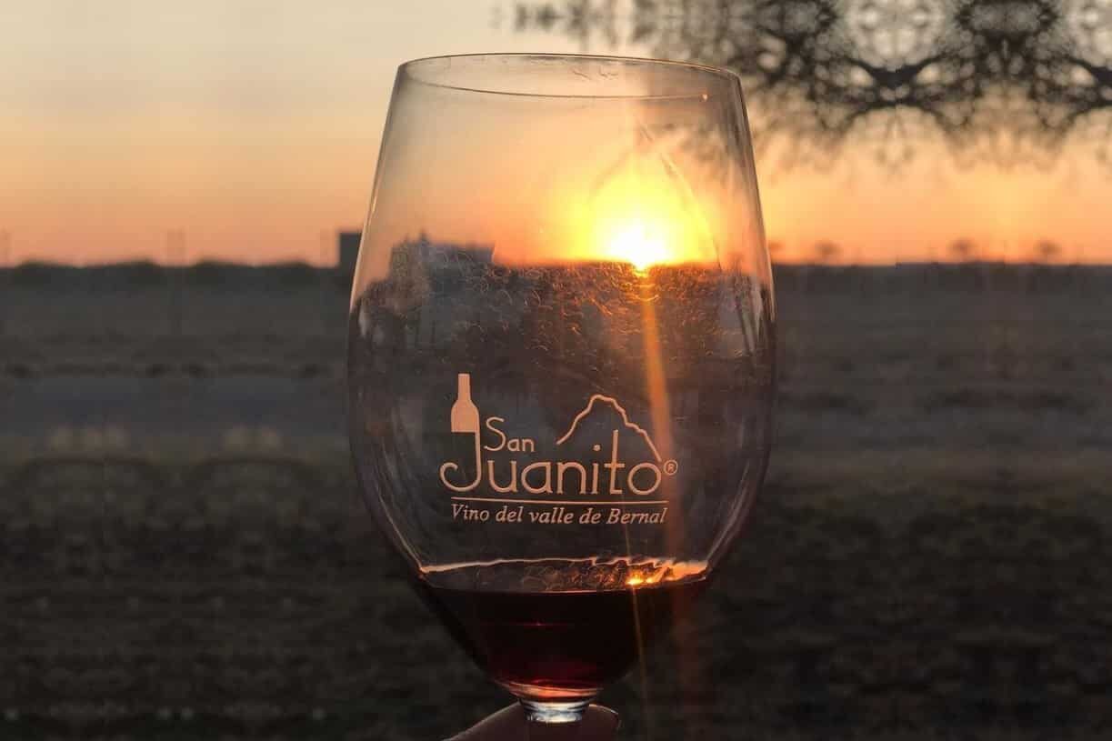 Viñedos en la la Ruta del Vino y queso en Querétaro.