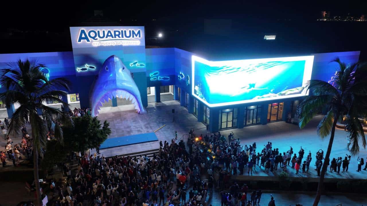 ¡Aquarium del Puerto de Veracruz reabre sus puertas!