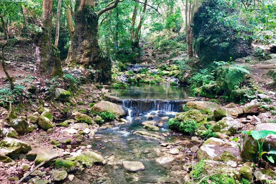 Atractivo natural de Jalpan de Serra