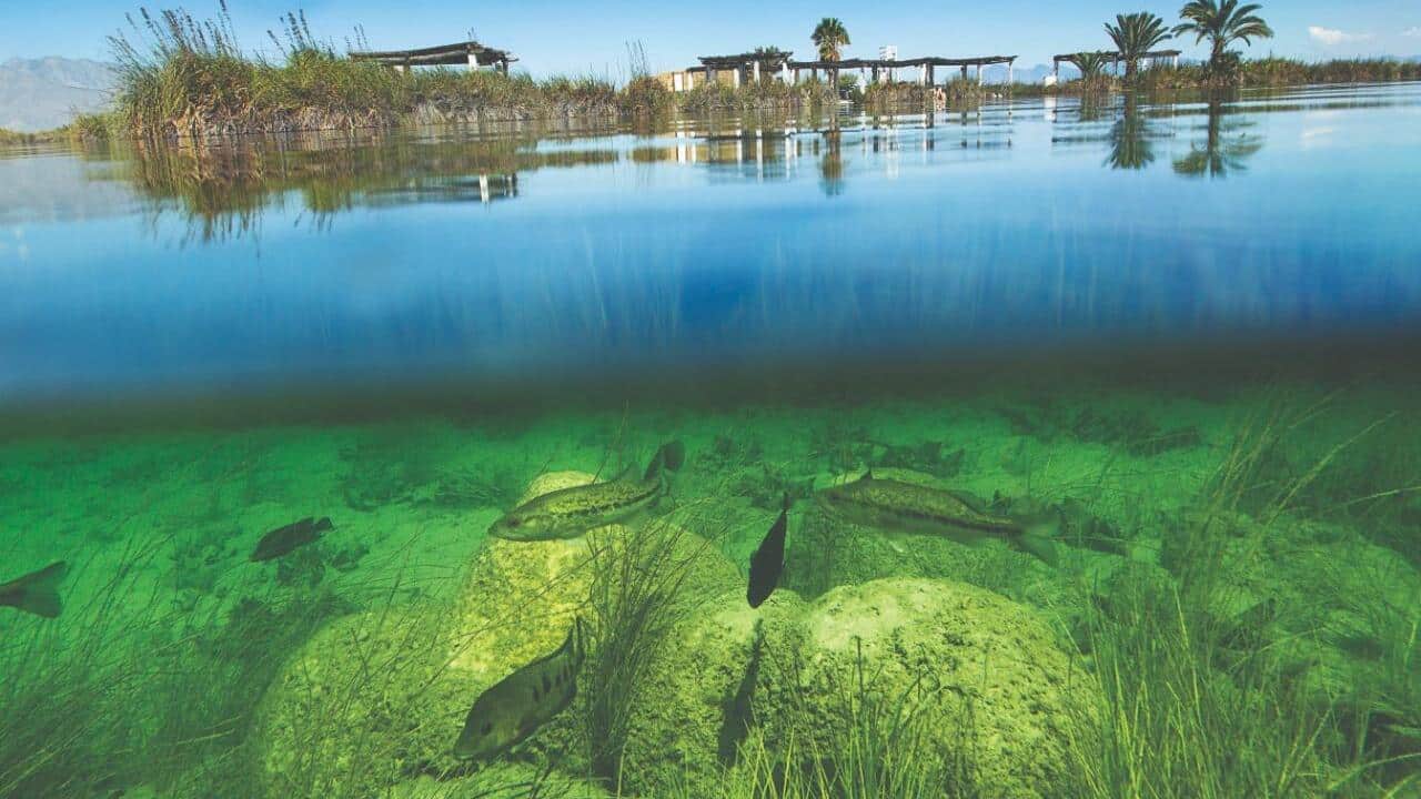 Cuatro Ciénegas, reconocida como 'Best Tourism Village' por la ONU ...