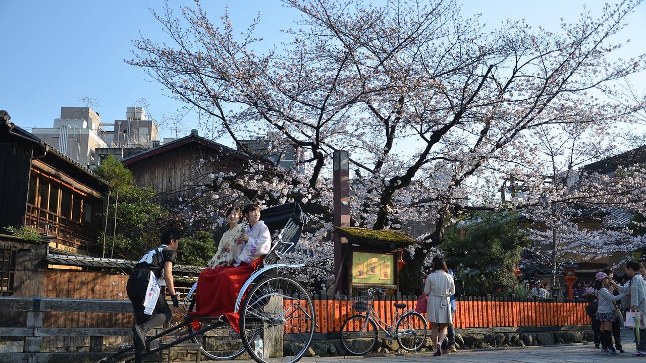 Aki Matsuri, el festival japones de otoño que llega a la ciudad