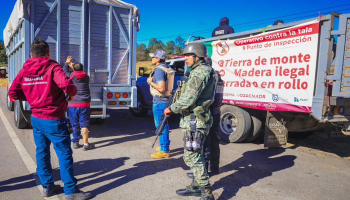 Operativo contra tala ilegal