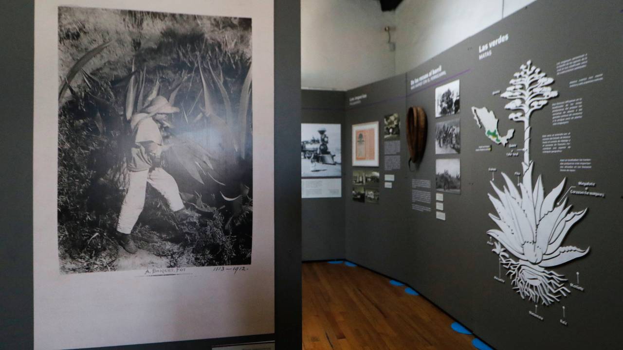 Museo del Pulque exhibirá ‘Nosferatu’ en 3D