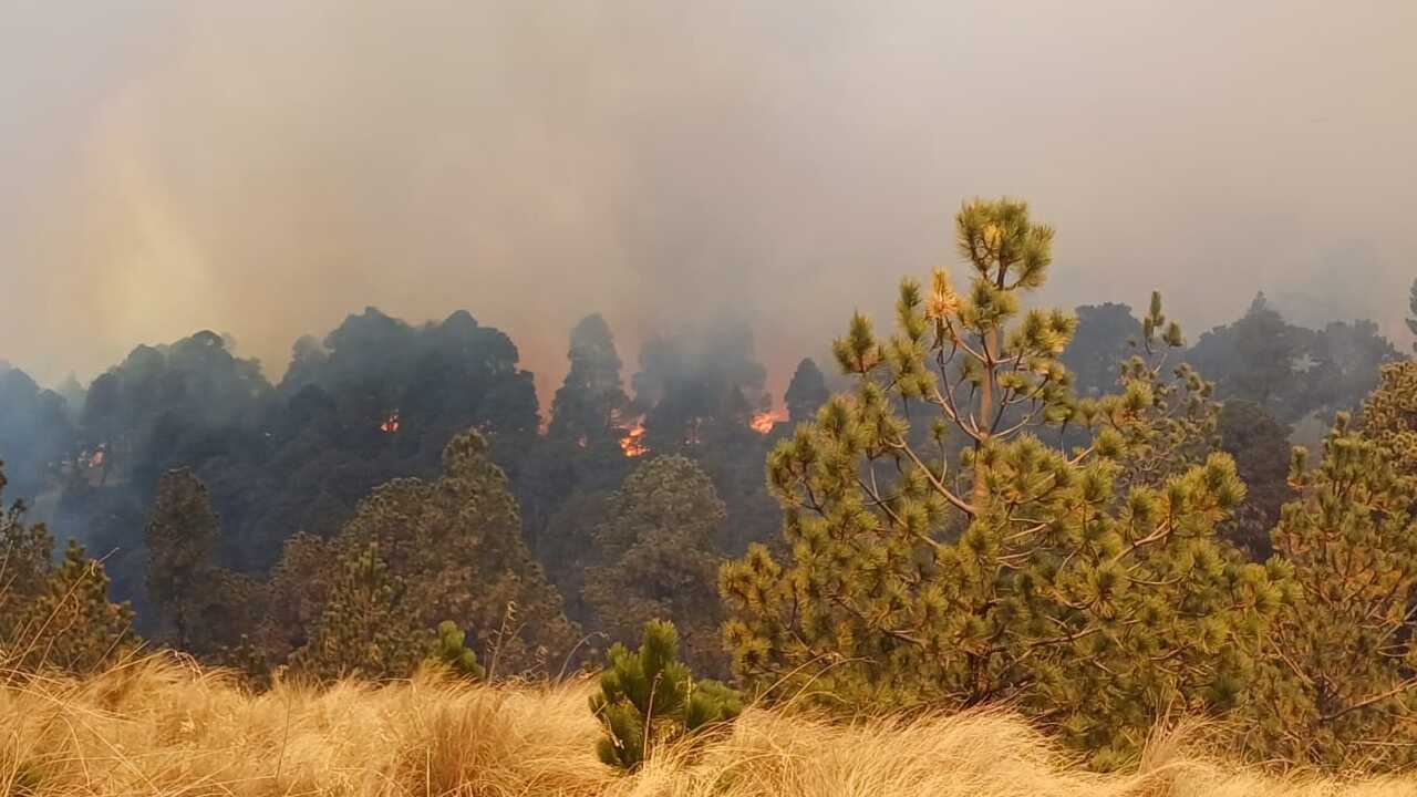 CDMX y Conafor firman convenio contra incendios forestales