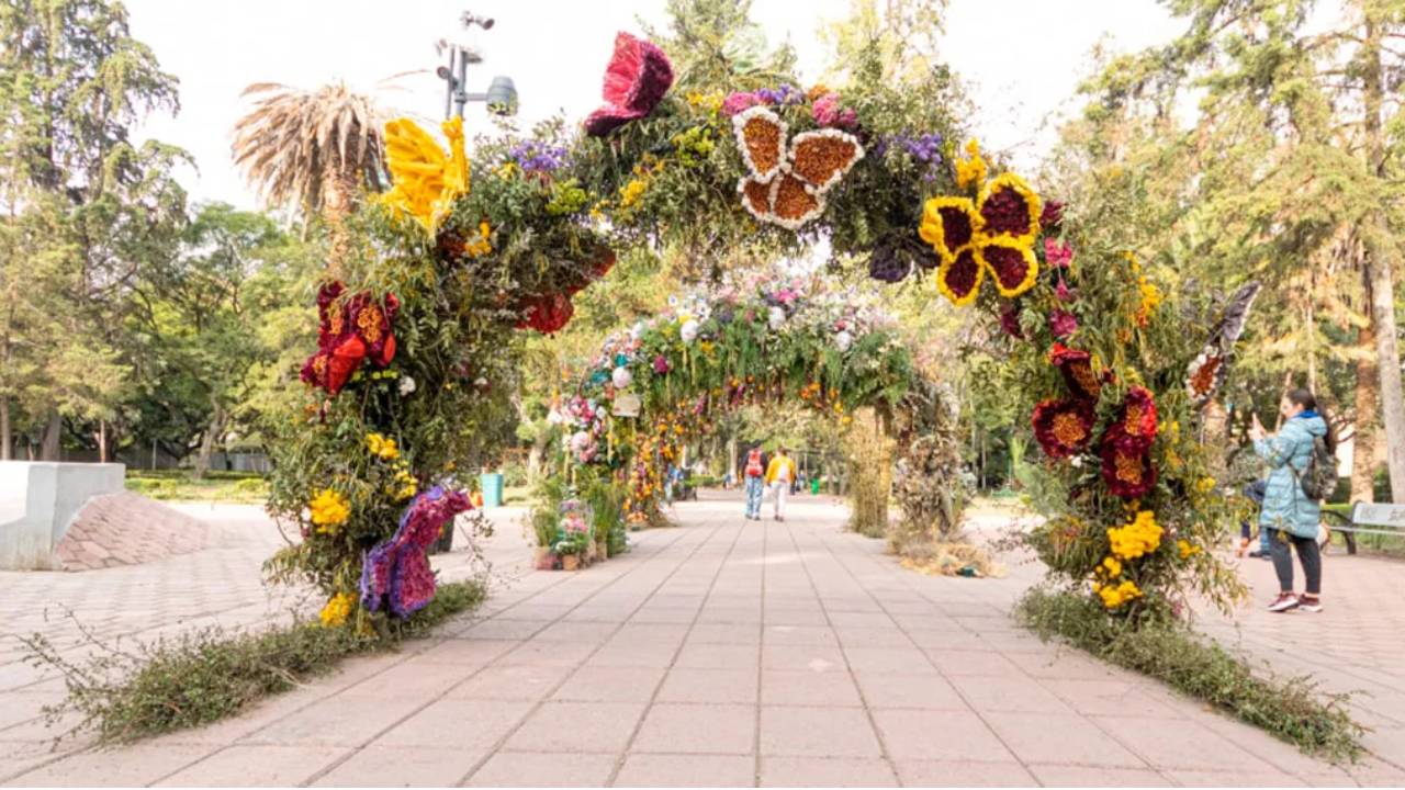 Explora la belleza del Festival Flores y Jardines CDMX