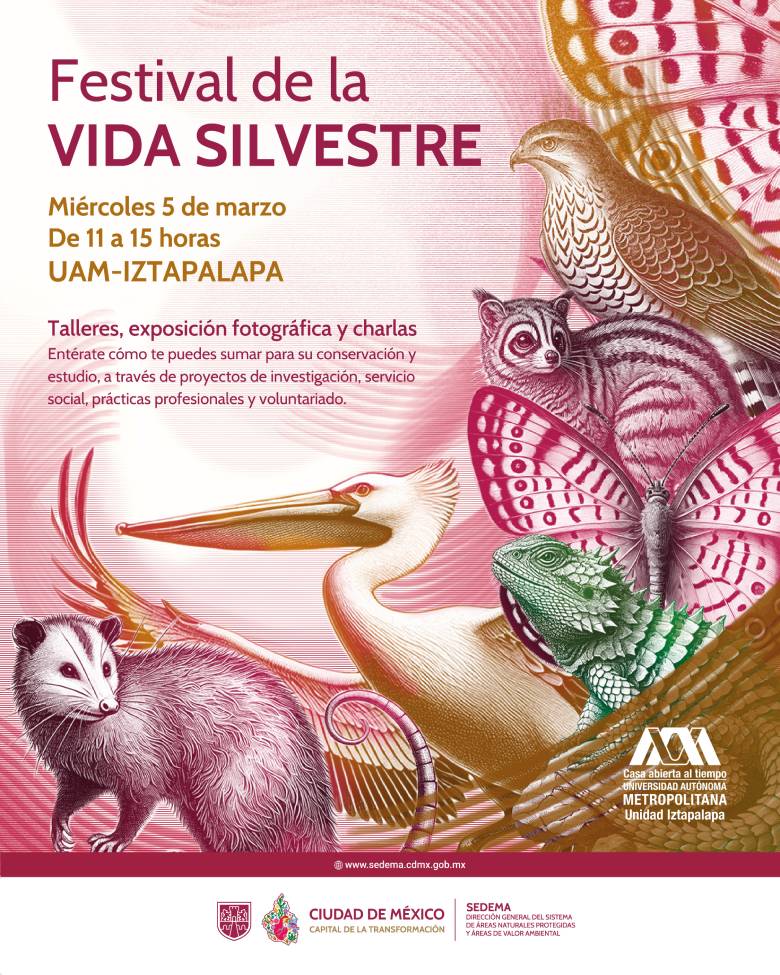 Festival de la Vida Silvestre