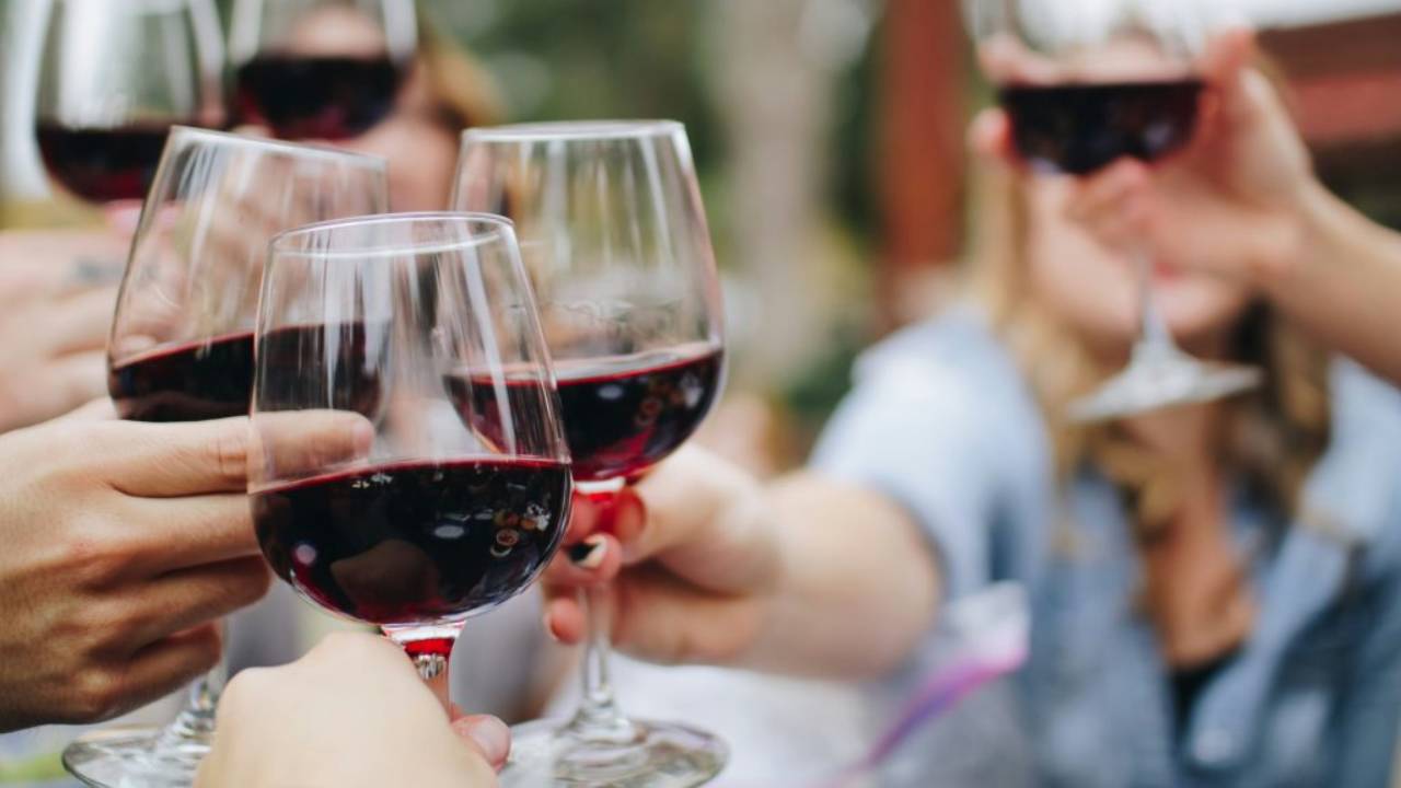 VINART: Descubriendo la esencia del vino en Ajijic
