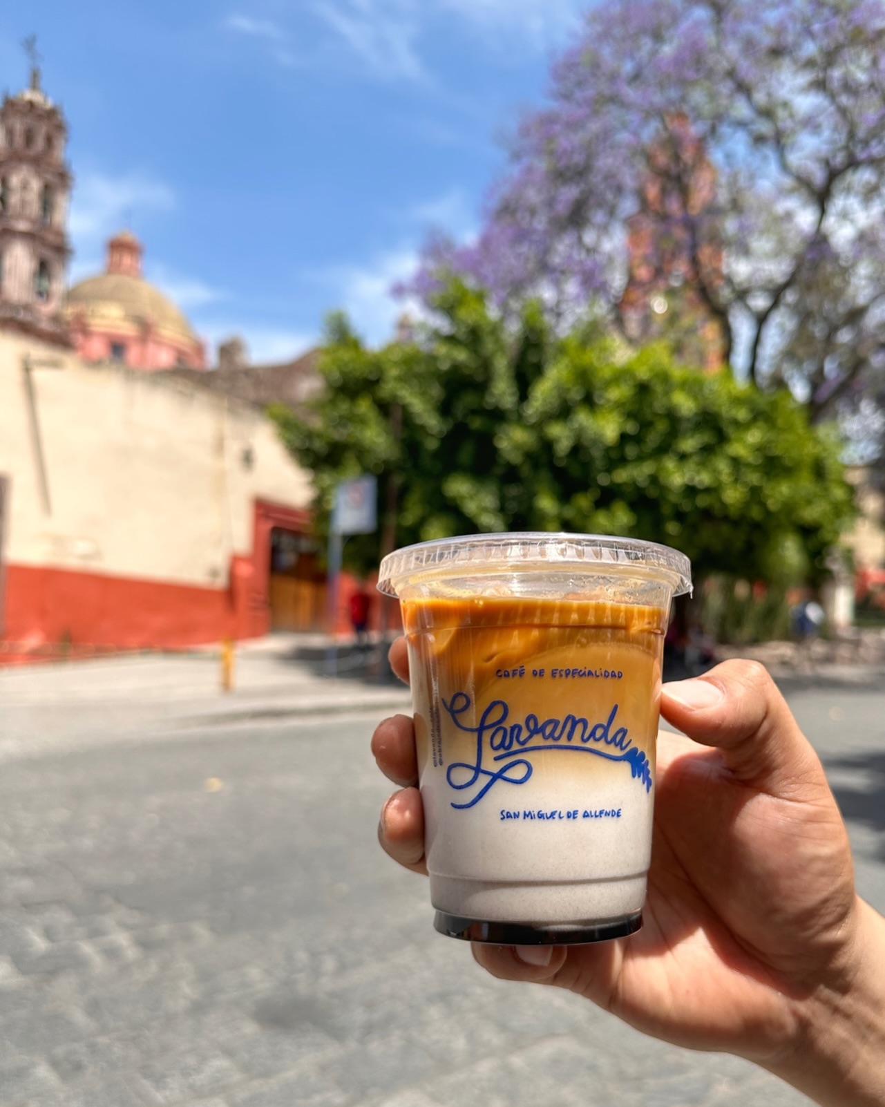 Descubre México