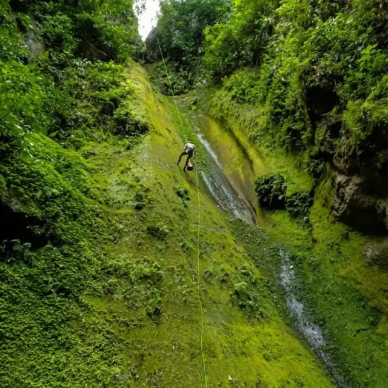 Cañones de Nayarit