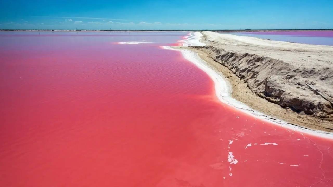 Las Coloradas de Yucatán: un paraíso rosa entre sal, sol y biodiversidad