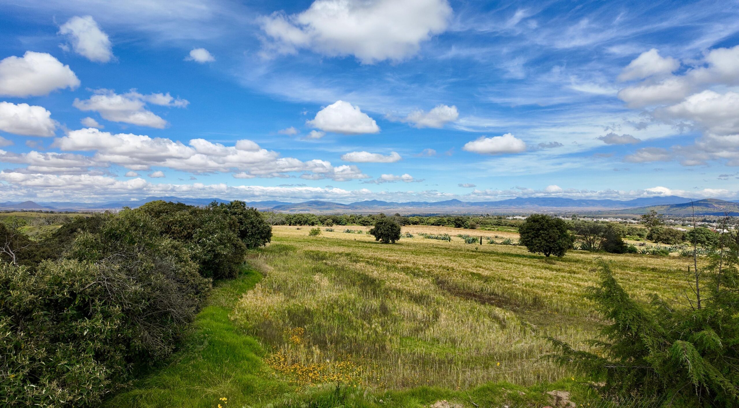 Rancho Buenavista, Nanacamilpa.